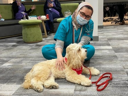 A photograph of a female doctor petting a dog.